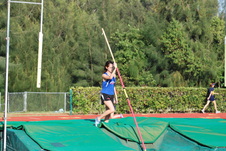 Enlarge photo 274