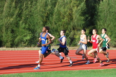 Enlarge photo 287