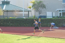 Enlarge photo 295