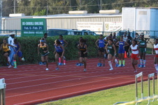 Enlarge photo 340