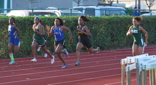 Enlarge photo 341