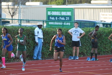 Enlarge photo 359