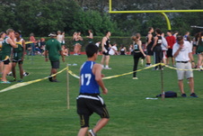Enlarge photo 445