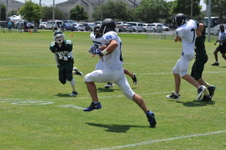 Enlarge photo 95