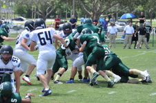 Enlarge photo 121