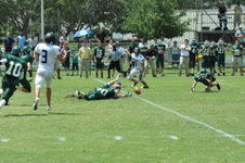 Enlarge photo 129