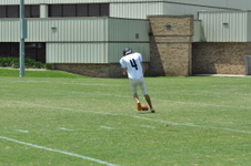 Enlarge photo 133
