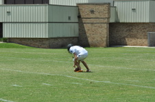 Enlarge photo 135