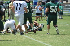 Enlarge photo 149