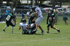 Enlarge photo 174