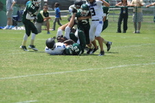 Enlarge photo 175