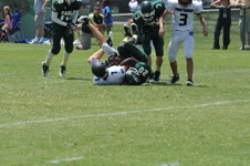Enlarge photo 176