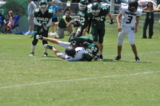 Enlarge photo 177