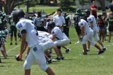 Enlarge photo 178