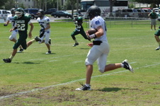 Enlarge photo 195