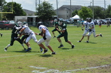 Enlarge photo 198