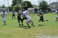 Enlarge photo 199