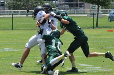Enlarge photo 203