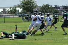 Enlarge photo 207