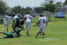 Enlarge photo 210