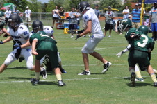 Enlarge photo 232