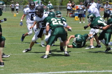 Enlarge photo 233