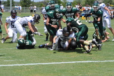Enlarge photo 237