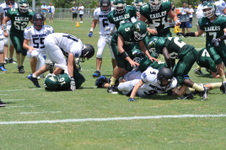 Enlarge photo 239