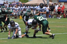 Enlarge photo 255