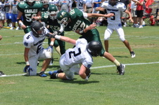 Enlarge photo 257