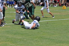 Enlarge photo 259