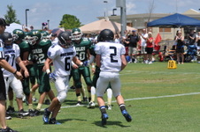 Enlarge photo 262