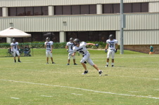 Enlarge photo 280