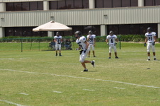 Enlarge photo 282