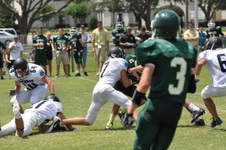 Enlarge photo 284