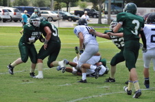 Enlarge photo 294