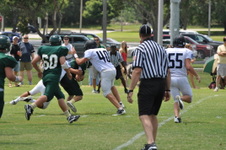 Enlarge photo 309