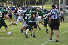 Enlarge photo 311