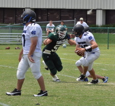 Enlarge photo 322