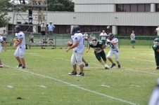 Enlarge photo 324