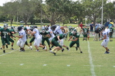 Enlarge photo 330