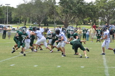 Enlarge photo 331