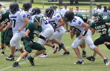 Enlarge photo 332