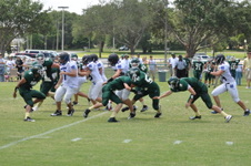 Enlarge photo 333