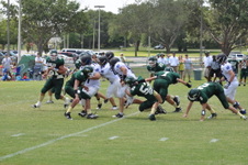 Enlarge photo 334