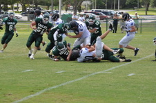 Enlarge photo 338
