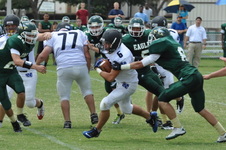Enlarge photo 347
