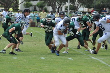 Enlarge photo 349