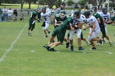 Enlarge photo 351