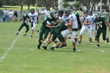 Enlarge photo 352